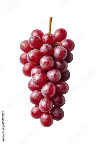 Premium Japanese Ruby Roman Grapes Bunch Showcasing Luxurious Deep Red Color, Exceptional Sweetness, and Exclusive High-End Fruit Quality