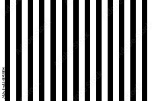 Black and white. EPS 10