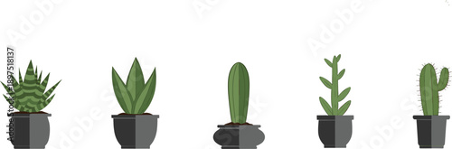 Minimal potted succulent and cactus plants vector illustration set in neutral pots isolated on white background