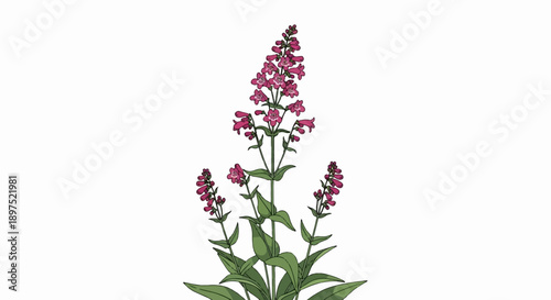 A stylized illustration of a blooming plant with pink flowers and green leaves on a white background