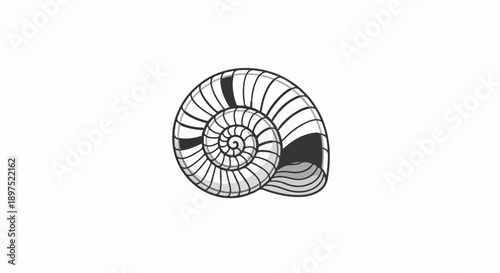 Black and white illustration of a nautilus shell spiral pattern