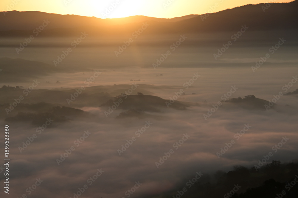 Obraz premium sunrise