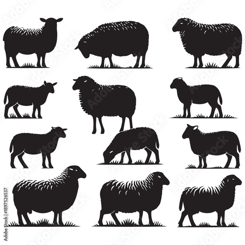 farm animals collection vector