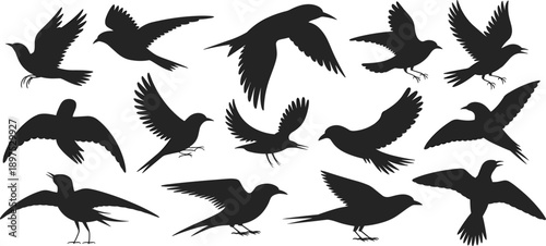 Flying bird silhouette vector collection with dynamic wing poses, minimalist wildlife illustration for nature designs, logos, tattoos, icons, posters, prints, and graphic branding stock
