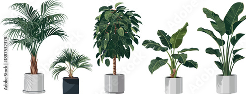Indoor houseplant vector collection, potted tropical plants illustration, modern home decor greenery set, botanical interior design elements minimal living room