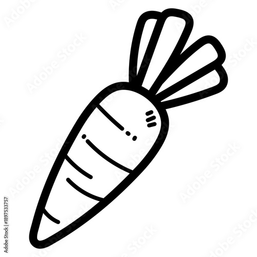carrot illustration