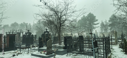 Panorama of a cemetery on a foggy winter day