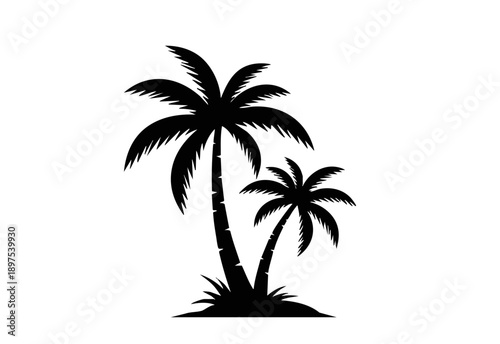 Double Palm Tree Silhouette