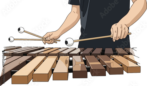 Hands playing a marimba with mallets, close-up view, isolated on white