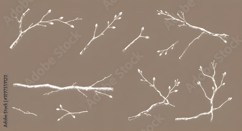 tree, branches, bare, leafless, winter, autumn, nature, botanical, forest, woodland, twig, limb, silhouette, outline, monochrome, minimal, simple, modern, flat, line, icon, symbol, vector, illustratio