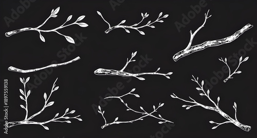 tree, branches, bare, leafless, winter, autumn, nature, botanical, forest, woodland, twig, limb, silhouette, outline, monochrome, minimal, simple, modern, flat, line, icon, symbol, vector, illustratio