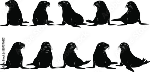 Seal silhouette icons, marine animal poses, flipper positions, head directions, whiskers and eyes, black vector illustrations, ocean life