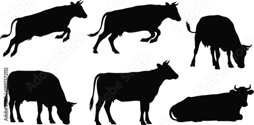 Black silhouettes of cows in various poses on white background cattle