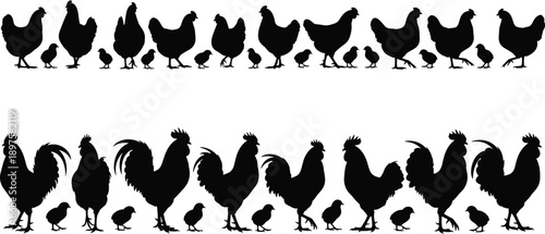 Chicken and Rooster Silhouette Vector Collection with Hen and Chicks for Poultry Farming Agriculture Food Industry and Rustic Country Kitchen Design