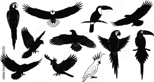 Large collection of black bird silhouettes featuring eagle parrot toucan and cockatoo in flying and perched poses isolated on white background for nature design