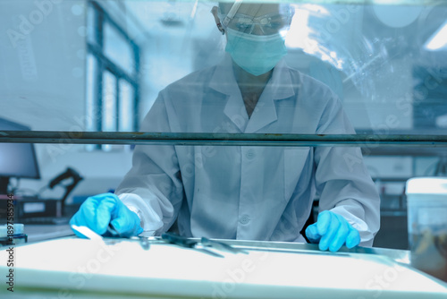 Lab technician working behind glass sash of fume hood for safety. Scientist in blue gloves managing chemical experiment in ventilated biosafety cabinet securely.