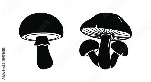 Two black mushrooms displayed against a white background silhouette