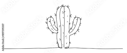 cactus desert plant line art vector
