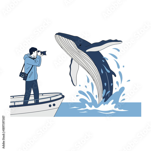 Capturing Majestic Whale Breaches From A Boat During Wildlife Observation Expeditions