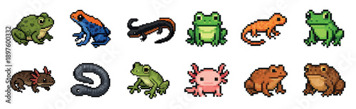 Colorful pixel art set of various amphibians including frogs, toads, salamanders, and axolotls designed in a retro 8-bit video game style for creative projects