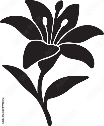 Lilie Flower Vector Illustration Isolated on White Background