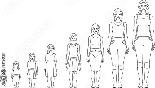 Female body growth stages line art illustration, girl to adult woman development, human anatomy outline comparison set
