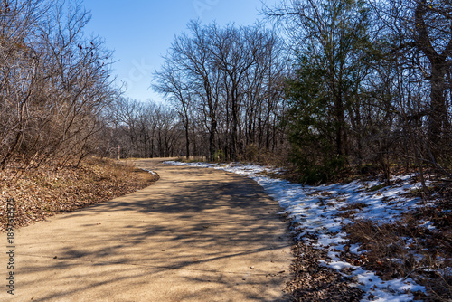path in winter