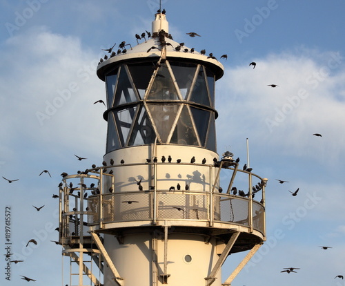 Lighthouse 