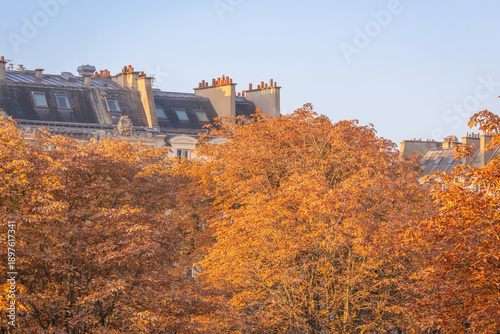 Paris rooftops in Autumn