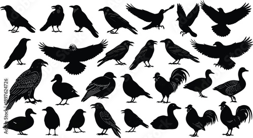 Collection of black bird silhouettes featuring various avian species like crows, ravens, ducks, and roosters in flying, standing, and perched poses on white background