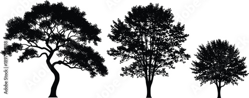 Black silhouettes of deciduous and leafy trees in different shapes and sizes isolated on white background, nature landscape element vector illustration set.
