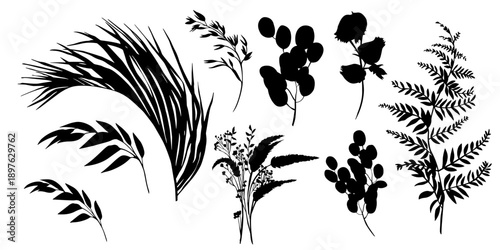 Set of botanical silhouettes of dried flowers, leaves, and flowers in vector, isolated on white. Vector illustration