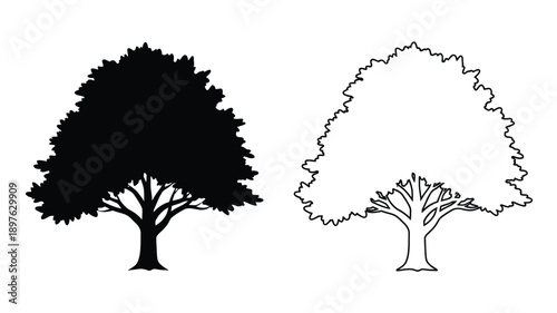 Two trees one solid black and one outlined a striking silhouette