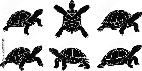 Set of six turtle silhouettes in black and white, showing diverse shell patterns, animal anatomy, movement poses, wildlife design, and illustration