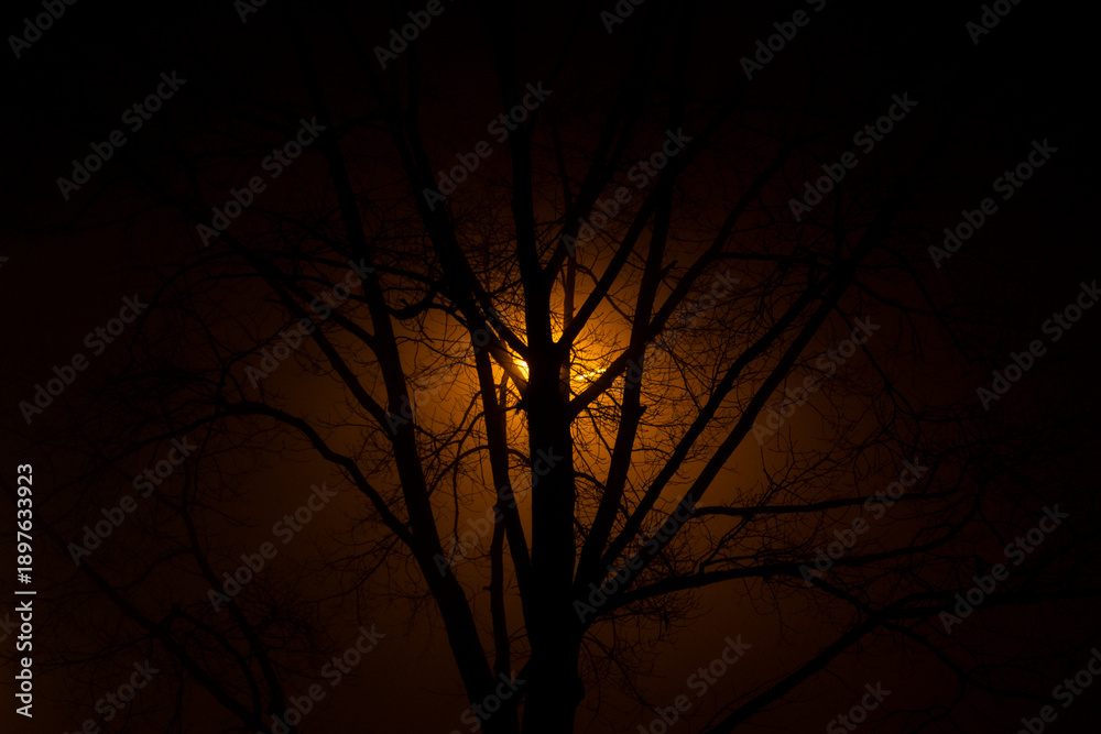 Obraz premium atmospheric nighttime