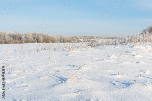 Billede på lærred A vast, untouched snowfield, the surface glistening under a clear sky