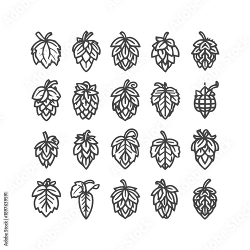 Hop Cones and Leaves: A Collection of Botanical Illustrations.