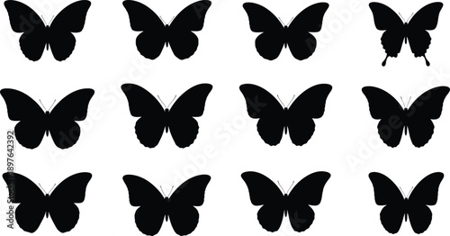 Black Butterfly Silhouettes Collection
