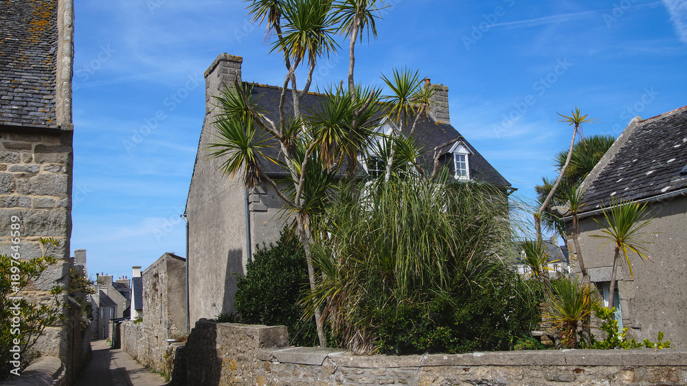 Obraz premium A quiet village street lined with stone houses and tall palm trees, creating a peaceful and charming rural atmosphere.