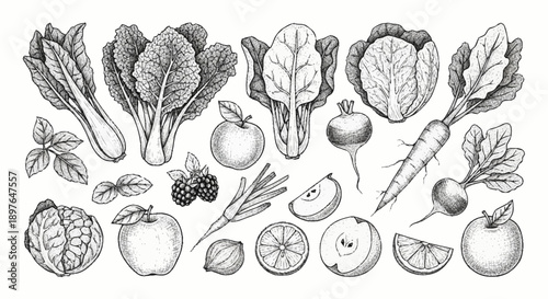 Collection of fresh fruits and vegetables hand drawn sketch.