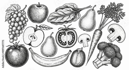 Collection of Fresh Fruits and Vegetables Hand Drawn Sketch.