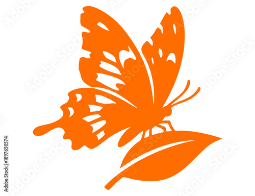 Side view butterfly silhouette on leaf, decorative vector