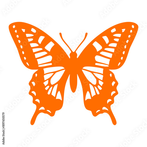 Ornate butterfly silhouette with lace wing pattern, vector