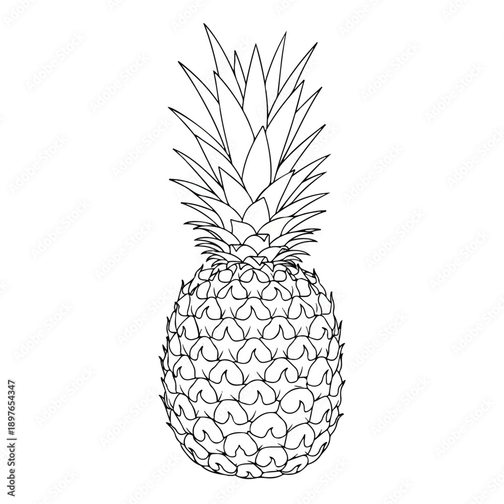 Obraz premium Detailed pineapple outline drawing isolated on plain background