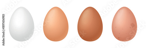 Set of whole chicken eggs in various natural shell colors, showing realistic detail and smooth texture. Food, farming, and nutrition concepts, isolated on white background vector illustration
