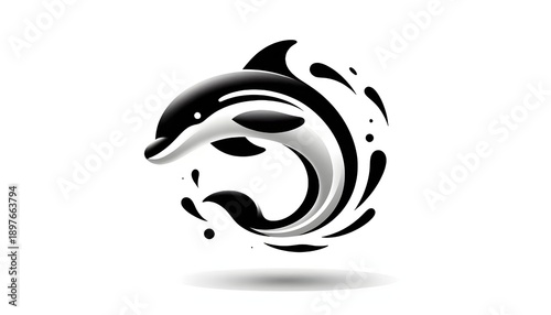 Cute and beautiful animal black and white 