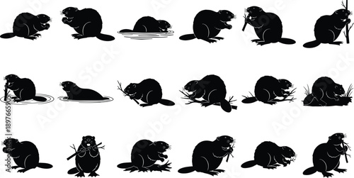 Beaver silhouette bundle with swimming, sitting and chewing branch poses, black forest wildlife rodent collection for nature design, animal vector set