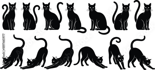 Black cat silhouette collection featuring elegant feline poses sitting and stretching, perfect for Halloween designs, pet logos, cute mascot art, and vector clipart