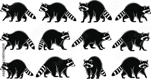 Raccoon silhouette set featuring black woodland animals in multiple walking poses, ideal for wildlife logos, forest mascot designs, vector clipart, and nature illustrations