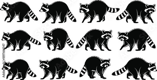 Raccoon silhouette collection featuring black woodland animals in different walking poses, perfect for wildlife logos, forest designs, cute mascot art, and vector clipart